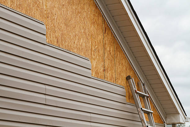 Professional Storm Damage Siding Repair technician working in Anna Maria, FL